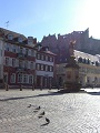 Heidelberg Castle & Altstadt